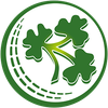 Ireland Women squad mark